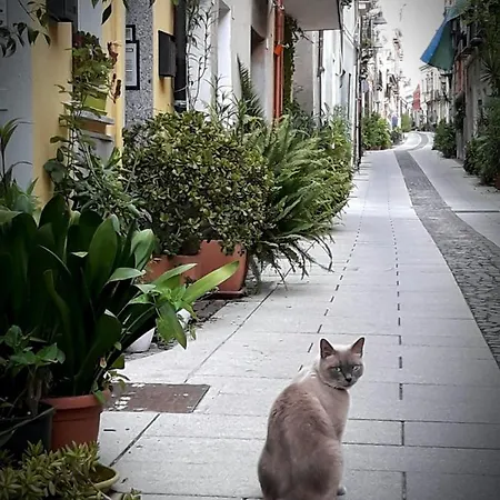 Via San Giacomo 10 卡利亚里